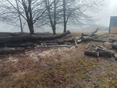 Palivové dřevo za odvoz