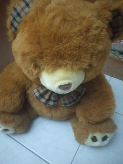 Plyšák medvěd cca 50 cm