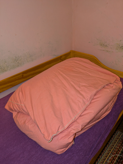 Peřina z pravého peří