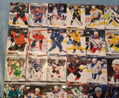 Pro autistického syna sháním hokejové a pokemon karty.