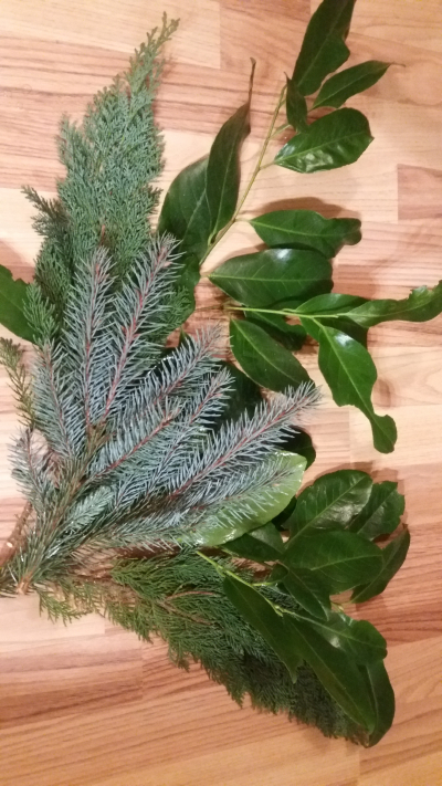 Větvičky modrého i klasického smrčku a thuje pro paní Petru