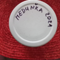 Meduňka R. 2021