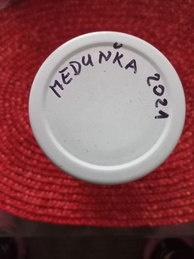 Meduňka R. 2021