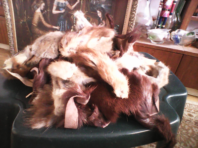 Malé odstřižky kožešin,