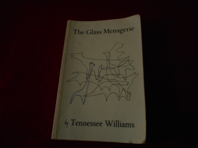 Kniha 12 v angličtině