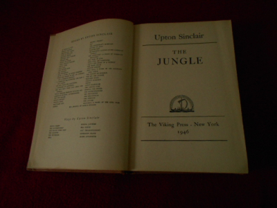 Kniha 15 v angličtině