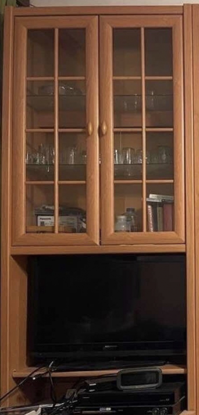 Vitrina/knihovna asi 190cm x 35cm x 90cm