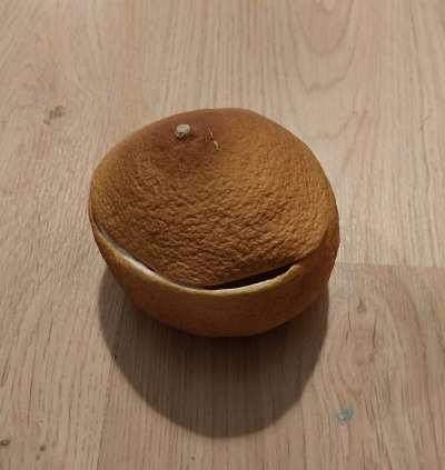 Krabička ze sušeného pomela