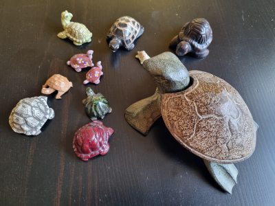 Sbírku želviček, 11 ks