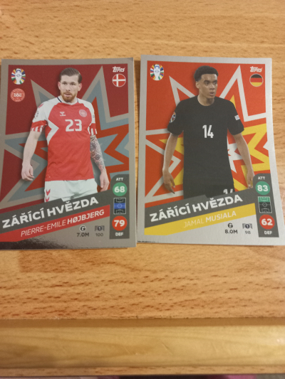 Kartičky EURO stříbrné 98+100