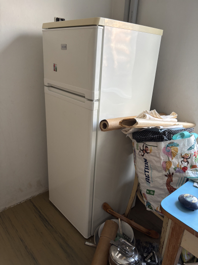 Lednička s odděleným mrazákem Zanussi