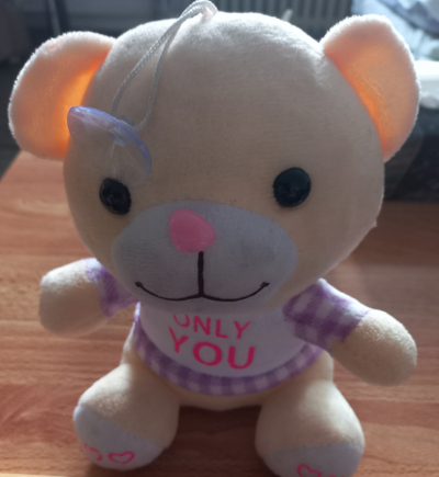 Medvídek s přísavkou