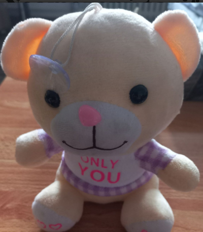 Medvídek hledá domov