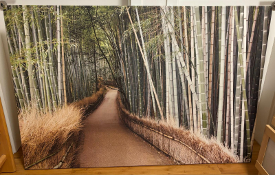 Obraz na plátně 150x100 cm