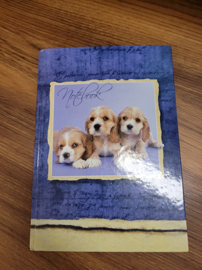 Zápisník A5 linkovaný