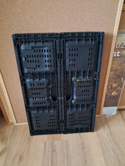 Bedynka pevna skladaci