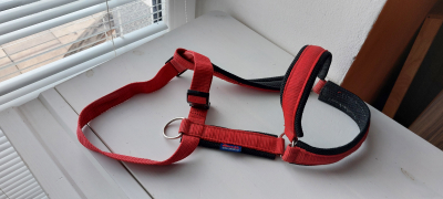 Červené kšíry pro psa