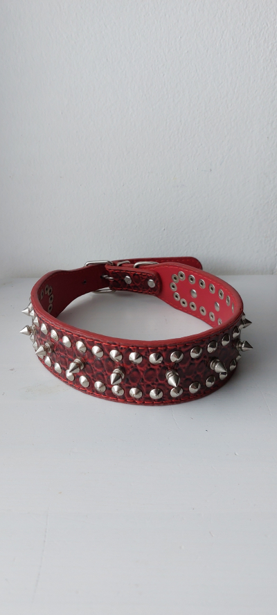 Psí obojek červený