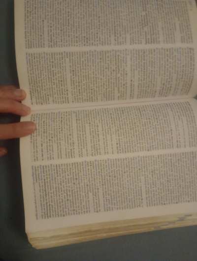 Výkladový slovník němčina