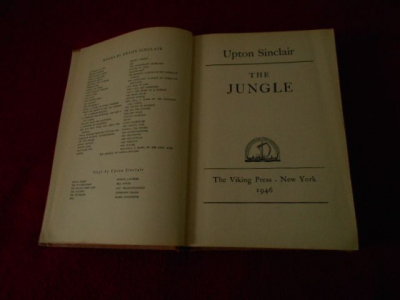 Kniha 15 v angličtině.