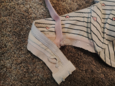 2 podprsenky (dívčí/dámské)