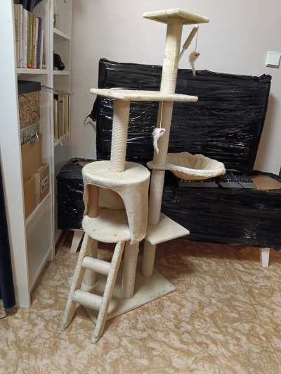 Škrabadlo pro kočky
