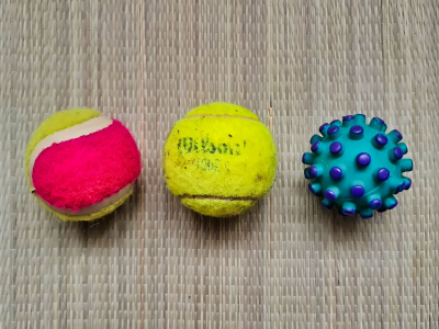 Míčky pro psy