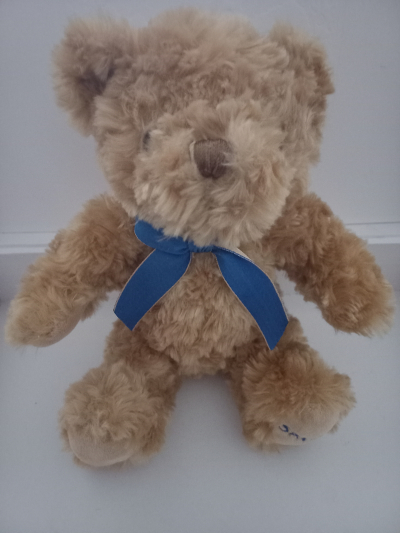 Plyšový medvídek hledá domov