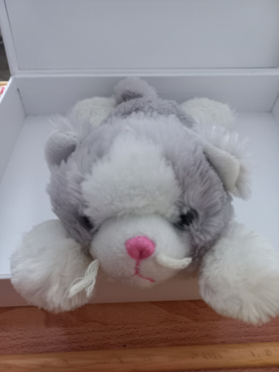 Bílo šedá plyšová kočička