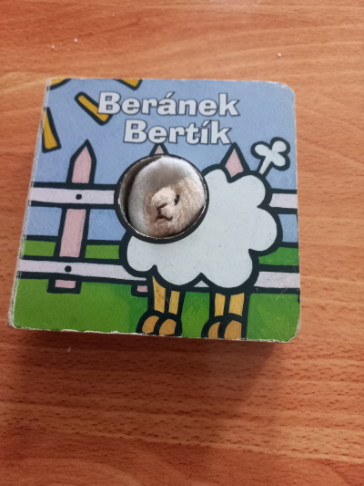 Dětská knížka Beránek Bertik