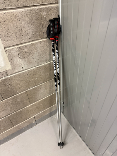 Lyžařské hůlky 120 cm