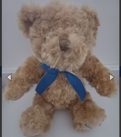 Medvídek hnědý Sparkys