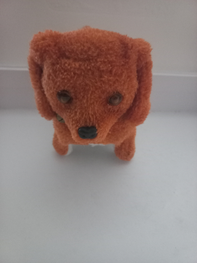 Pejsek štěkácí a chodící