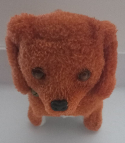 Pejsek chodící a štěkání