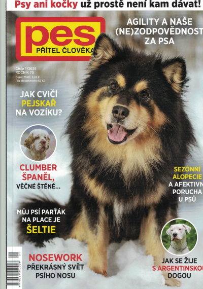 Pes přítel člověka