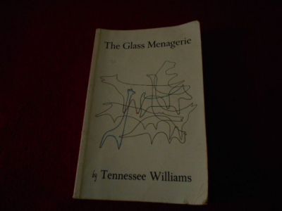 Kniha 13 v angličtině