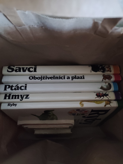 Krabice různých knih (knih je více než na fotografiích)