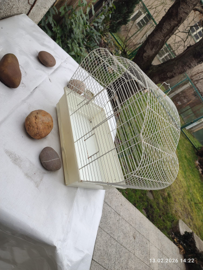 ptačí klec Praha 4