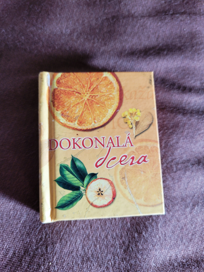 Mini knížka - Dokonalá dcera