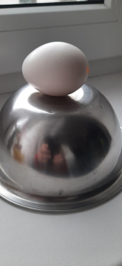 bílá vyfouknutá vajíčka na velikonoční malování