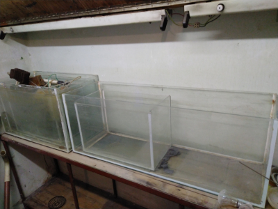 Stará akvária - i jednotlivě