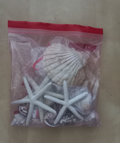 Větší mušle / hvězdice