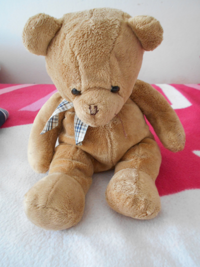 Medvídek může ležet i sedět