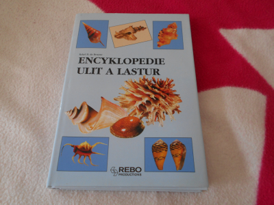 Encyklopedie ulit a lastur nová