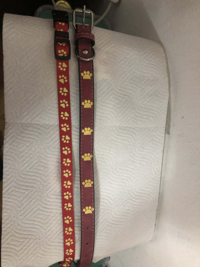 2 obojky pro psa menší, či střední velikosti