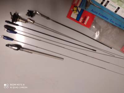 Autoanteny dlouhé část druhů co je na foto