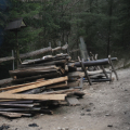 Dřevo za odvoz