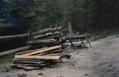 Dřevo za odvoz