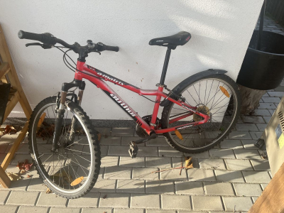 Střední jízdní kolo Author