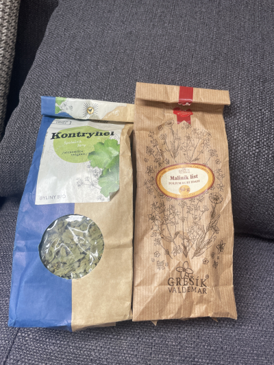 Zbytek kontryhelu a maliníku